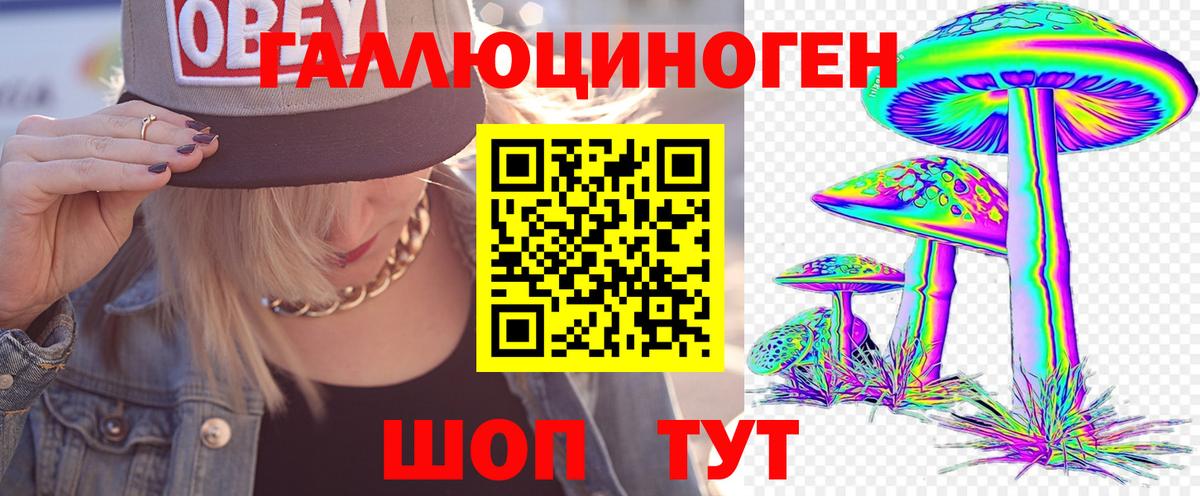 Псилоцибиновые грибы GOLDEN TEACHER  Псилоцибиновые грибы прущие грибы  Кувандык  купить наркоту  Вход с VPN 
